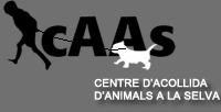CAAS Tossa